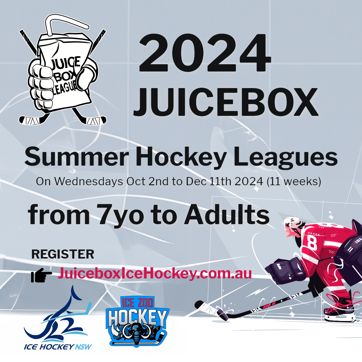 2024 Juicebox Summer Leagues